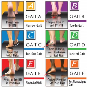 grouped gaits web